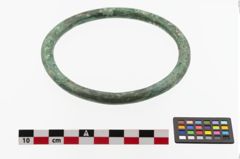 Foto von Bronzering (NHMW-PRAE-023884)